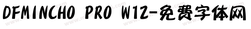 DFMINCHO PRO W12字体转换